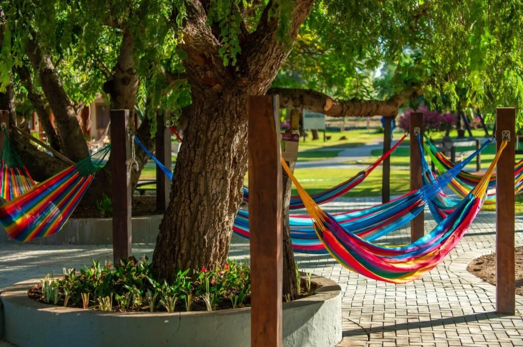 Copia-de-DSC_6389-min